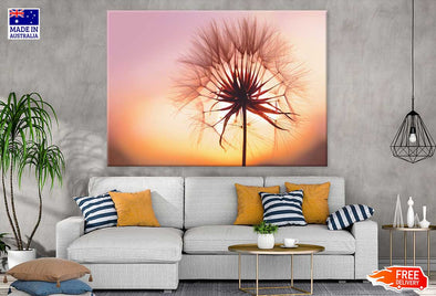 Dandelion at Sunset Photograph Print 100% Australian Made Stretched Canvas Ready to Hang - 1651