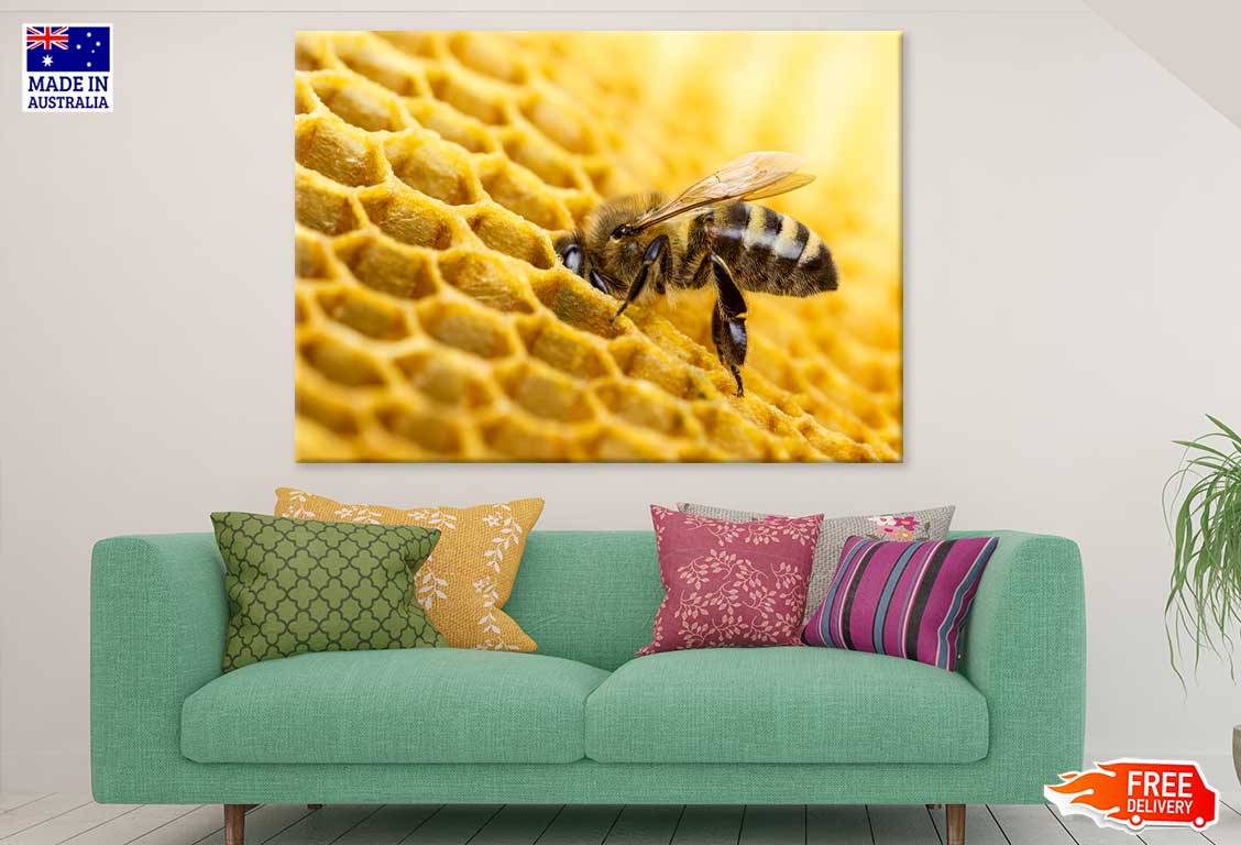 Bees Make Honey View Photograph Print 100% Australian Made Stretched Canvas Ready to Hang - 1212