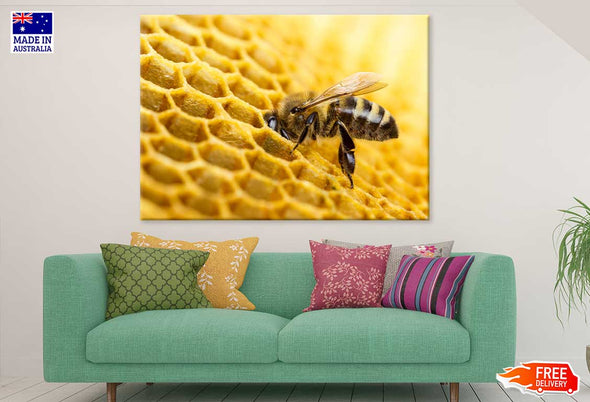 Bees Make Honey View Photograph Print 100% Australian Made Stretched Canvas Ready to Hang - 1212