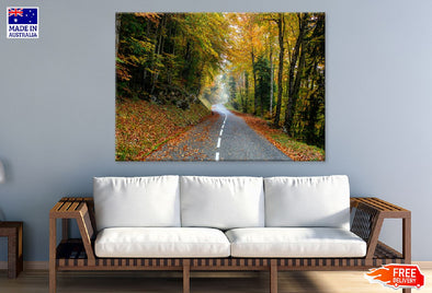 Autumn Trees Covered Road View Print 100% Australian Made Stretched Canvas Ready to Hang - 1690