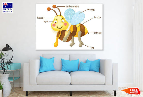 Bee Body Parts Vector Illustration Print 100% Australian Made Stretched Canvas Ready to Hang - 2395