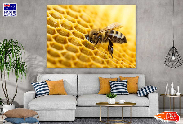 Bees Make Honey View Photograph Print 100% Australian Made Stretched Canvas Ready to Hang - 1212