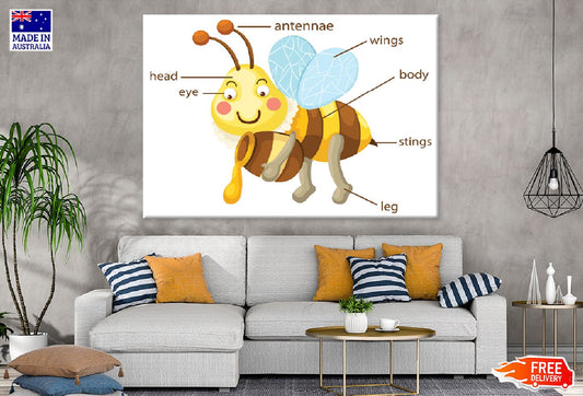 Bee Body Parts Vector Illustration Print 100% Australian Made Stretched Canvas Ready to Hang - 2395