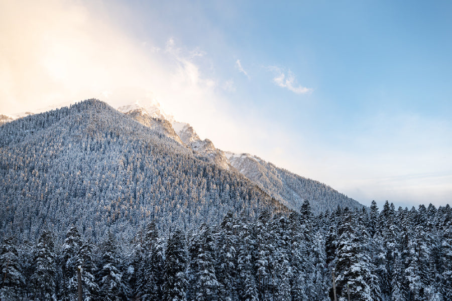 Snowy Forest Mountain Scenery Print 100% Australian Made Stretched Canvas Ready to Hang - 1012