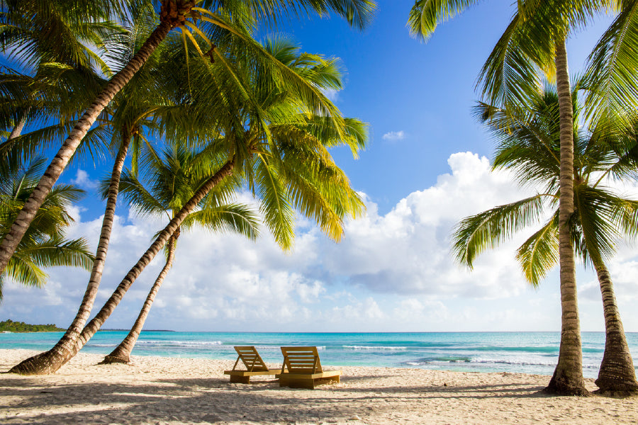 Palm Trees Near Beach Photograph Print 100% Australian Made Stretched Canvas Ready to Hang - 1360