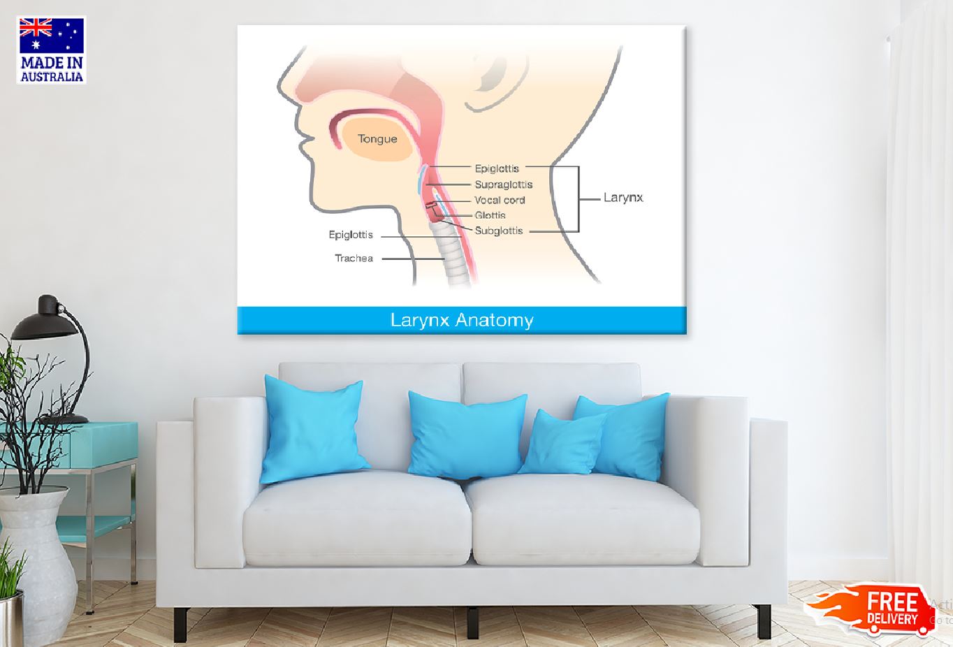 Larynx Anatomy Vector Design Print 100% Australian Made Stretched Canvas Ready to Hang - 2396