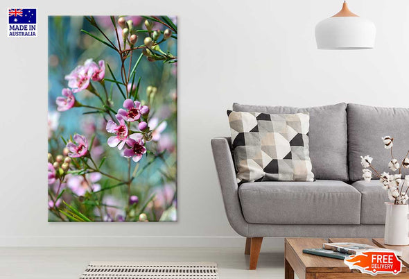 Pink Spring Flowers Closeup View Print 100% Australian Made Stretched Canvas Ready to Hang - 1562