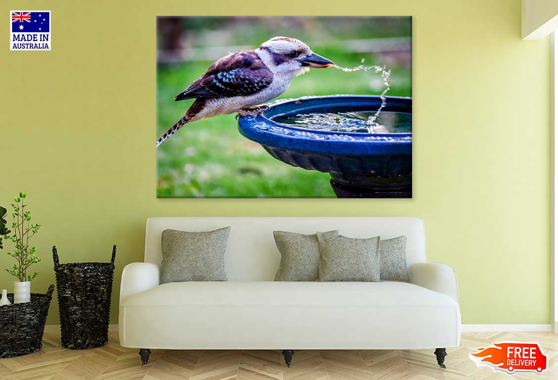 Kookaburra Drinking Water View Print 100% Australian Made Stretched Canvas Ready to Hang - 1213