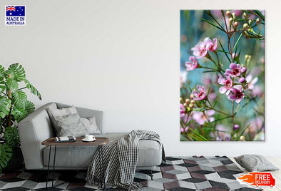 Pink Spring Flowers Closeup View Print 100% Australian Made Stretched Canvas Ready to Hang - 1562