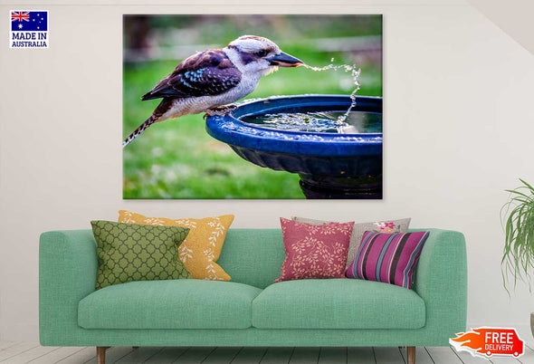 Kookaburra Drinking Water View Print 100% Australian Made Stretched Canvas Ready to Hang - 1213