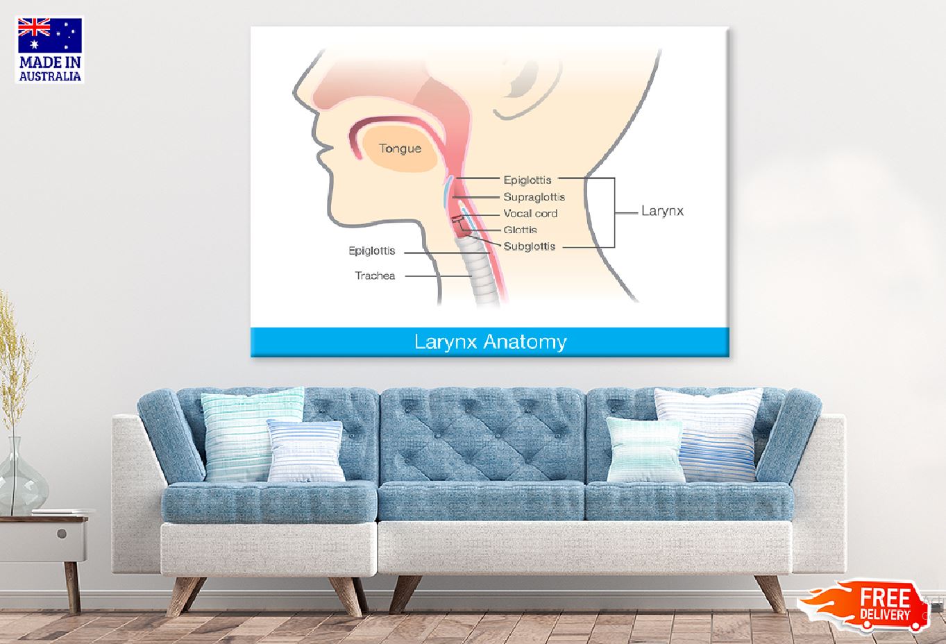 Larynx Anatomy Vector Design Print 100% Australian Made Stretched Canvas Ready to Hang - 2396