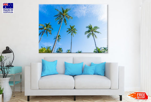 Tropical Palm Trees Blue Sky View Print 100% Australian Made Stretched Canvas Ready to Hang - 1692