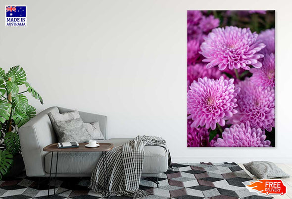 Purple Dahlia Flowers Photograph Print 100% Australian Made Stretched Canvas Ready to Hang - 1563