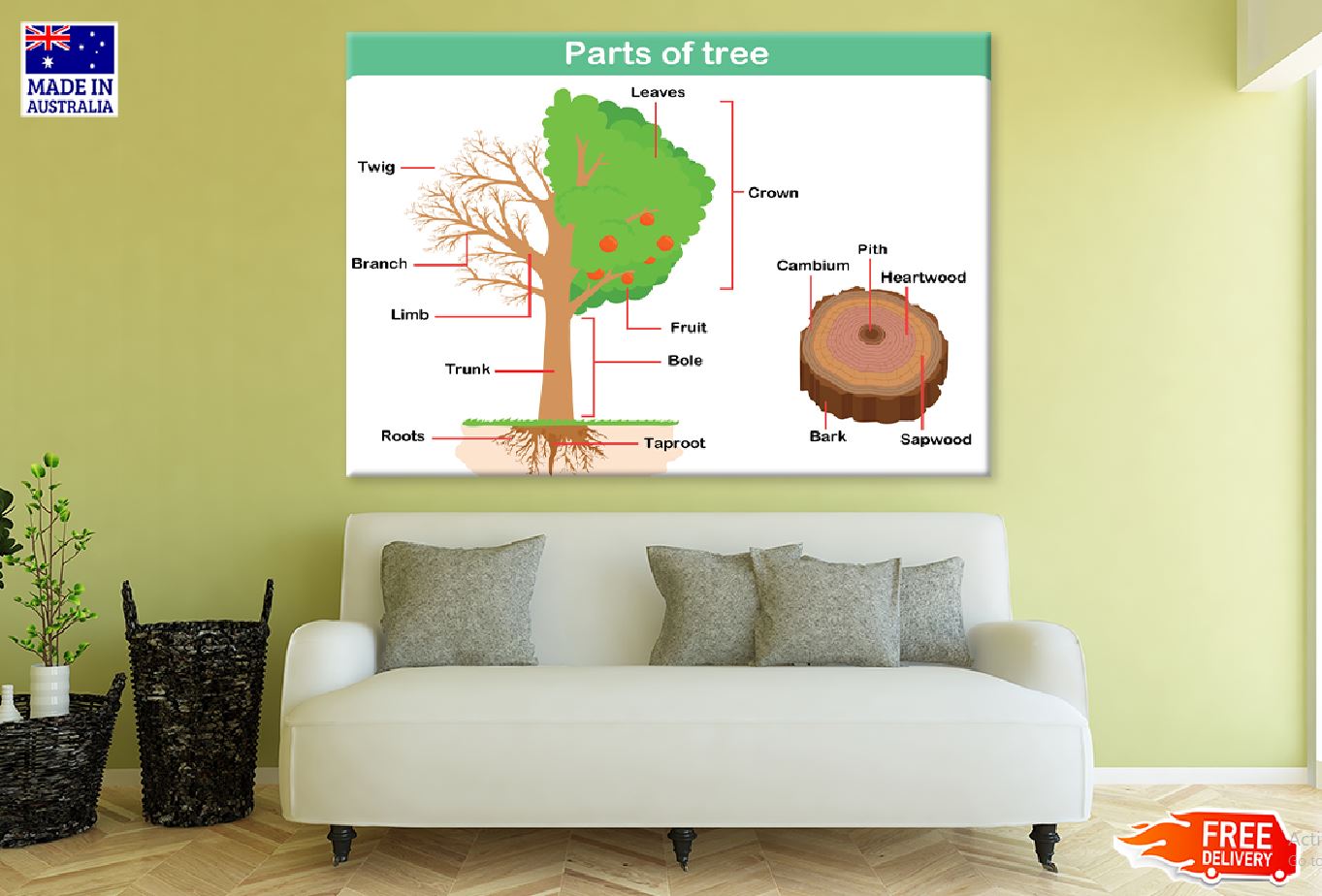 Parts of Tree Vector Illustration Print 100% Australian Made Stretched Canvas Ready to Hang - 2397