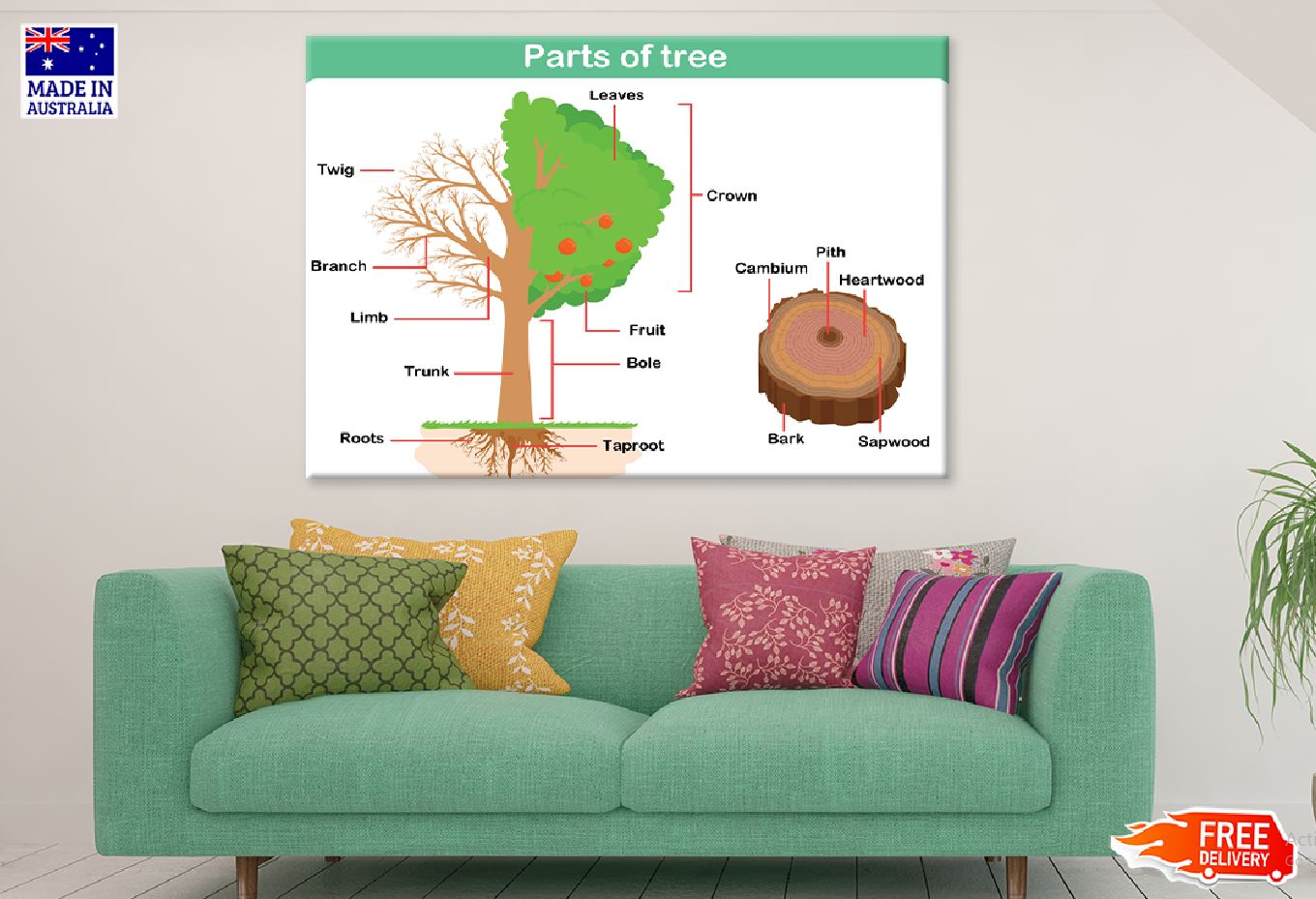 Parts of Tree Vector Illustration Print 100% Australian Made Stretched Canvas Ready to Hang - 2397