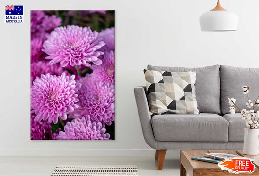 Purple Dahlia Flowers Photograph Print 100% Australian Made Stretched Canvas Ready to Hang - 1563