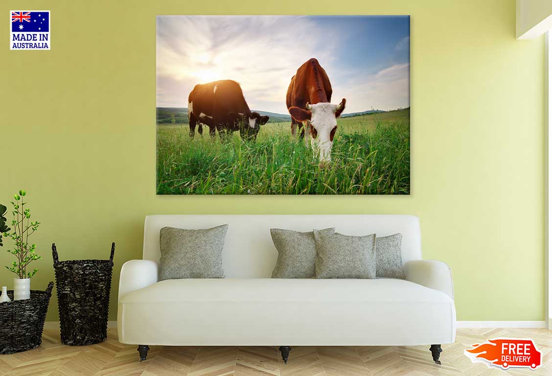 Cows on Grass Field Photograph Print 100% Australian Made Stretched Canvas Ready to Hang - 1214