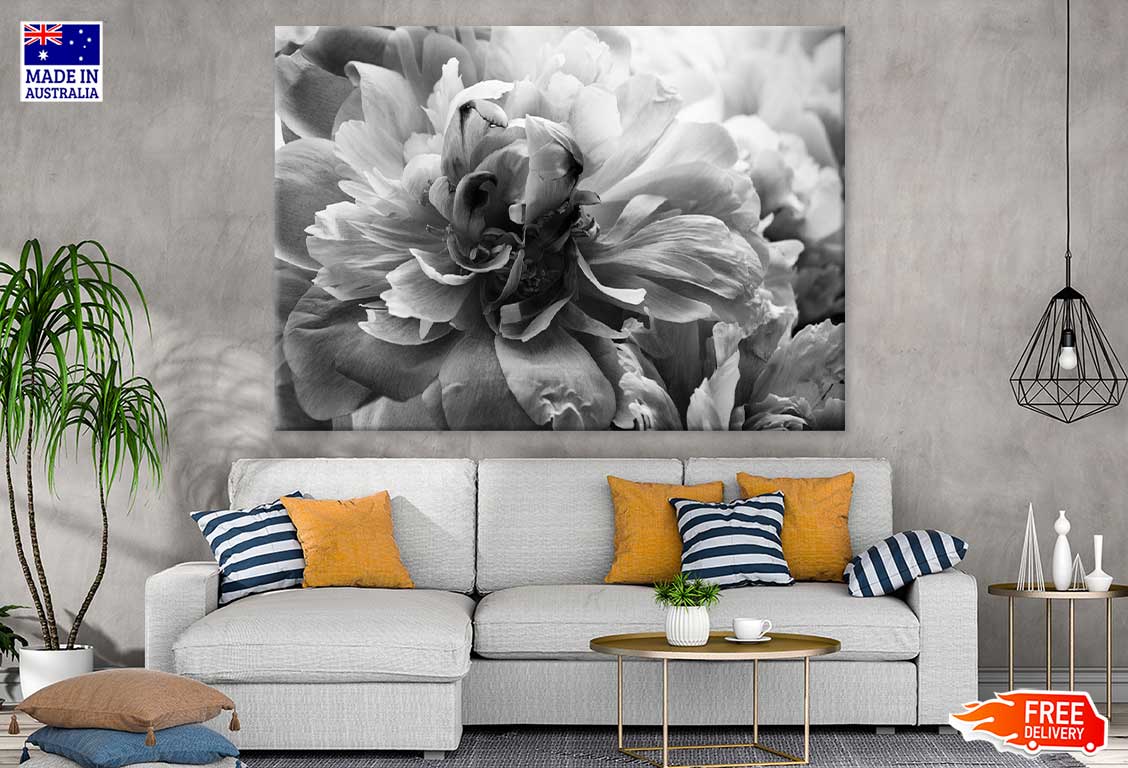 Flower Petals B&W View Photograph Print 100% Australian Made Stretched Canvas Ready to Hang - 1564