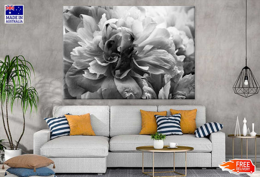 Flower Petals B&W View Photograph Print 100% Australian Made Stretched Canvas Ready to Hang - 1564