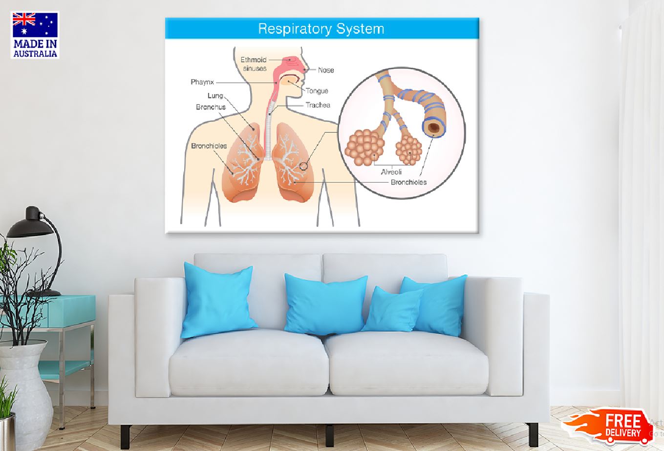 Respiratory System Vector Illustration Print 100% Australian Made Stretched Canvas Ready to Hang - 2398