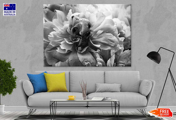 Flower Petals B&W View Photograph Print 100% Australian Made Stretched Canvas Ready to Hang - 1564