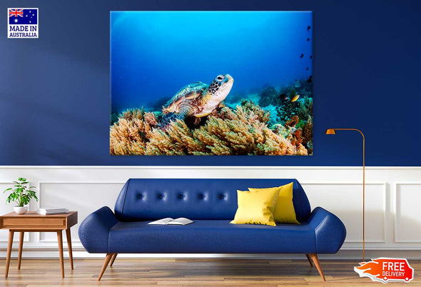 Sea Turtle Underwater Photograph Print 100% Australian Made Stretched Canvas Ready to Hang - 1215