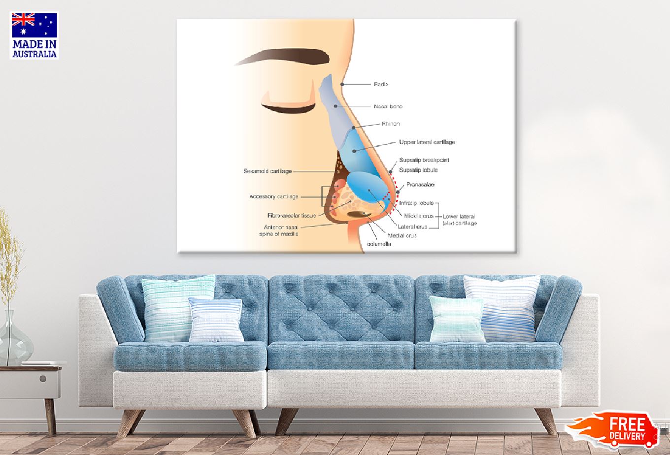 Human Nose Anatomy Illustration Print 100% Australian Made Stretched Canvas Ready to Hang - 2399