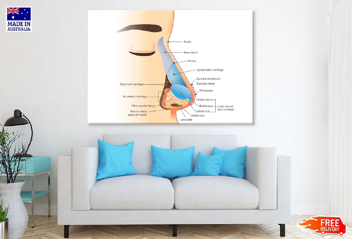 Human Nose Anatomy Illustration Print 100% Australian Made Stretched Canvas Ready to Hang - 2399