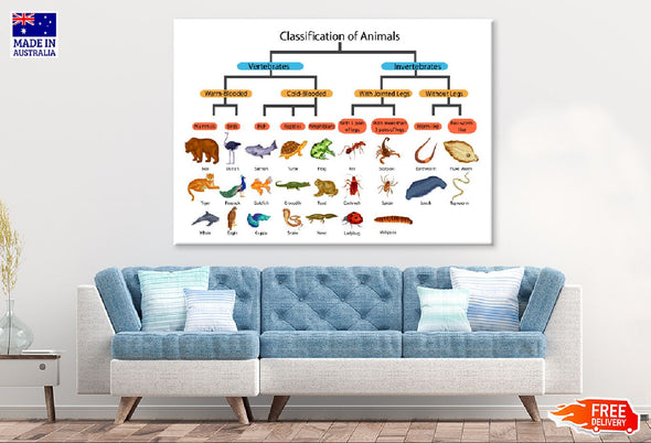 Chart of Biology Animals Diagram Print 100% Australian Made Stretched Canvas Ready to Hang - 1673