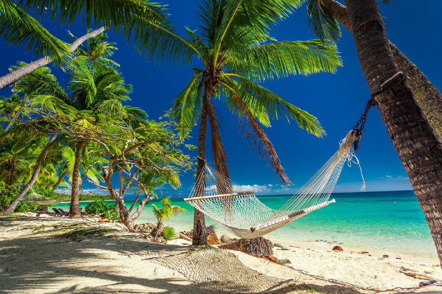 Palm Trees Photograph Fiji Island Print 100% Australian Made Stretched Canvas Ready to Hang - 1364