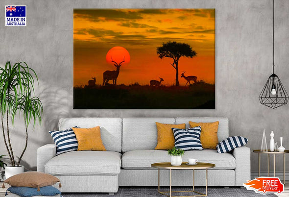 Deer in Kruger Park Sunset View Print 100% Australian Made Stretched Canvas Ready to Hang - 1216