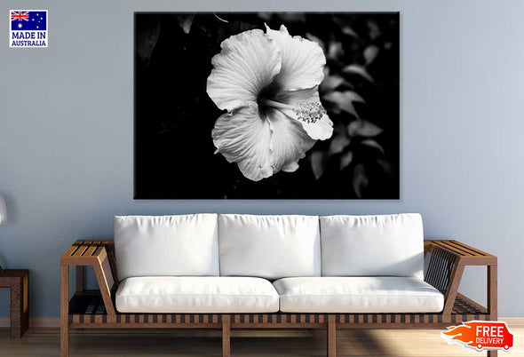 Hibiscus Flower B&W Photograph Print 100% Australian Made Stretched Canvas Ready to Hang - 1566