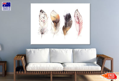 Feathers Watercolor Painting Print 100% Australian Made Stretched Canvas Ready to Hang - 1898