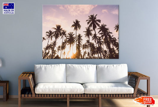 Coconut Palm Trees with Clouds Print 100% Australian Made Stretched Canvas Ready to Hang - 1695