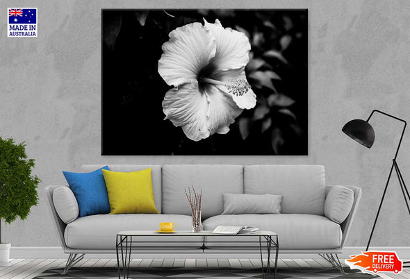 Hibiscus Flower B&W Photograph Print 100% Australian Made Stretched Canvas Ready to Hang - 1566