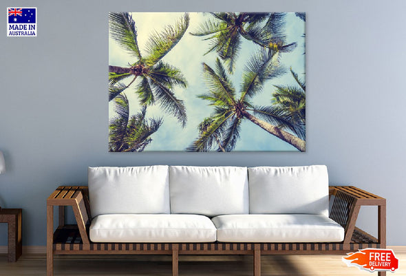 Sunshine on Palm Trees View Print 100% Australian Made Stretched Canvas Ready to Hang - 1696