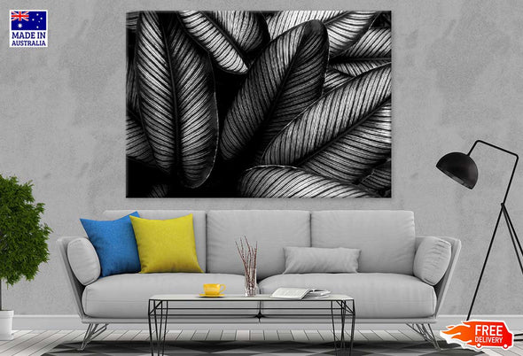 Closeup Leaves B&W Photograph Print 100% Australian Made Stretched Canvas Ready to Hang - 1567