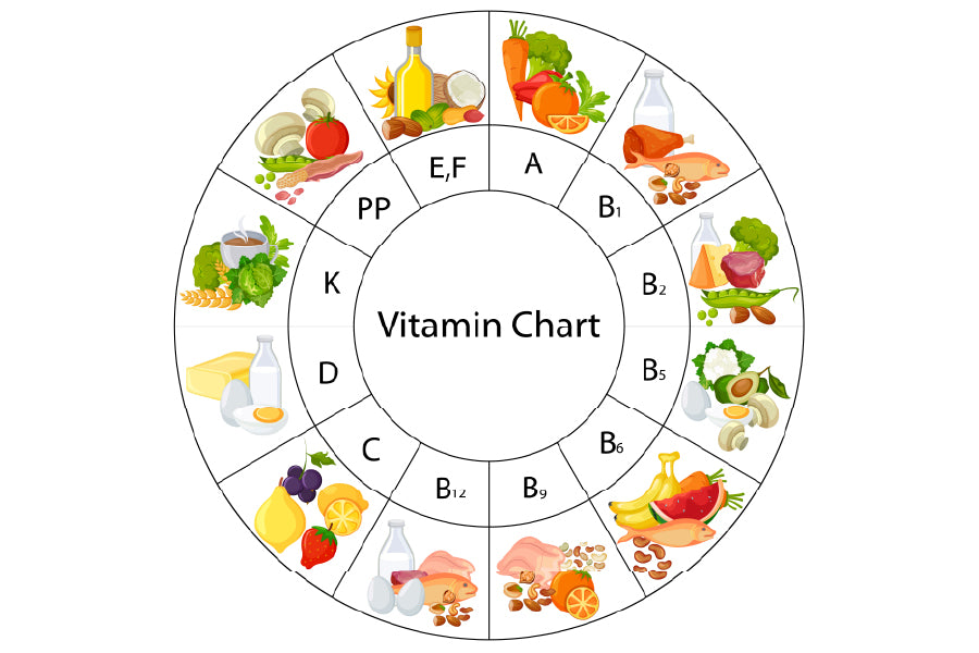 Vitamin Food Chart Diagram Vector Print 100% Australian Made Stretched Canvas Ready to Hang - 1675