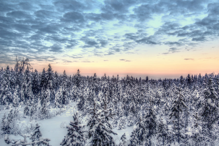 Sunset Over Snow Covered Trees Print 100% Australian Made Stretched Canvas Ready to Hang - 1018