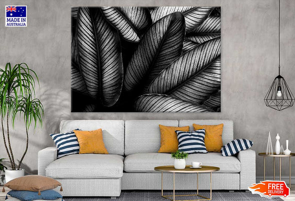 Closeup Leaves B&W Photograph Print 100% Australian Made Stretched Canvas Ready to Hang - 1567