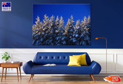 Snow Covered Trees Blue Sky View Print 100% Australian Made Stretched Canvas Ready to Hang - 1019