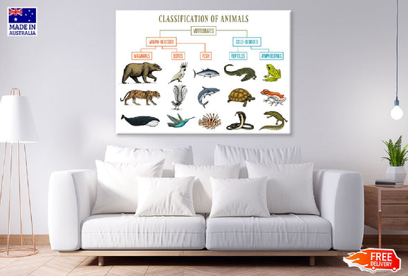 Chart of Wild Creatures Vector Print 100% Australian Made Stretched Canvas Ready to Hang - 1676