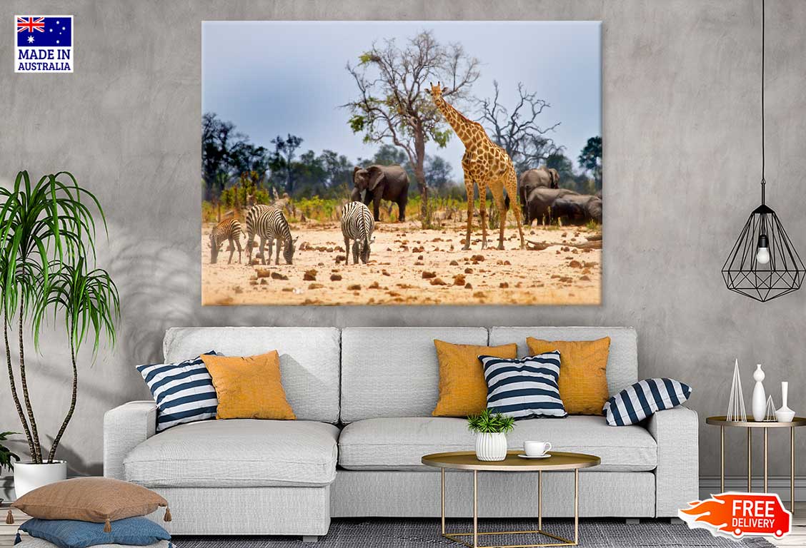 Animals Hwange National Park View Print 100% Australian Made Stretched Canvas Ready to Hang - 1219