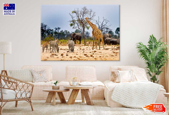 Animals Hwange National Park View Print 100% Australian Made Stretched Canvas Ready to Hang - 1219