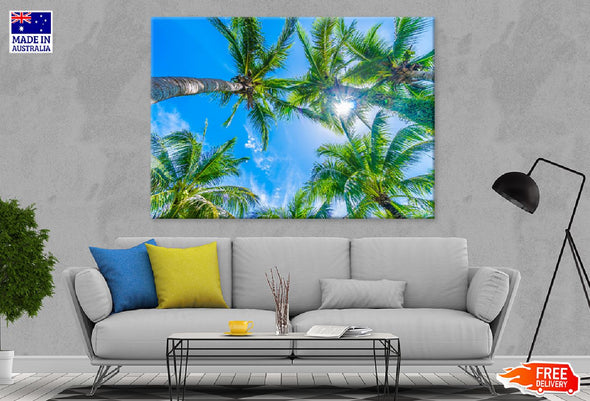 Palm Trees Blue Sky Photograph Print 100% Australian Made Stretched Canvas Ready to Hang - 1697