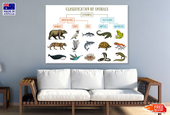 Chart of Wild Creatures Vector Print 100% Australian Made Stretched Canvas Ready to Hang - 1676