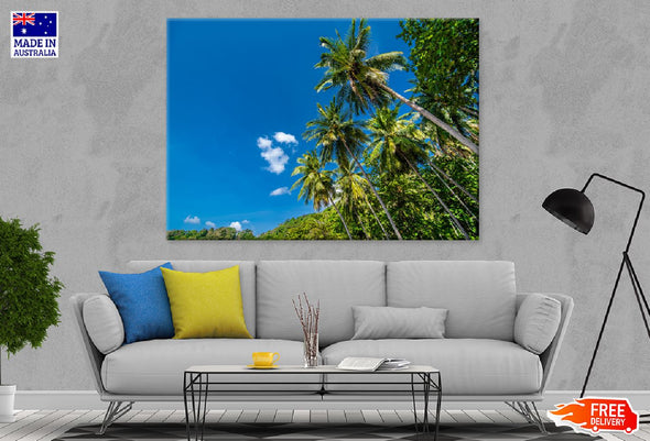 Coconut Palm Trees with Blue Sky Print 100% Australian Made Stretched Canvas Ready to Hang - 1698