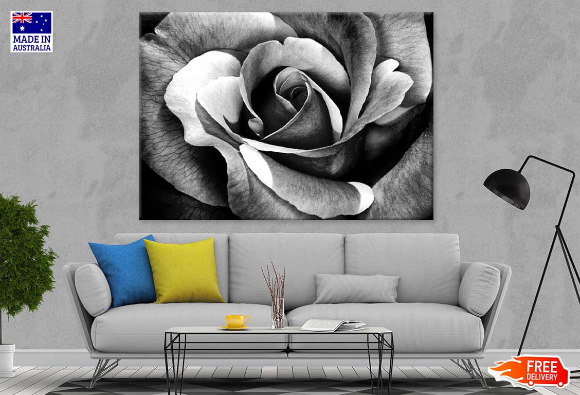 Rose Flower Petals B&W Photograph Print 100% Australian Made Stretched Canvas Ready to Hang - 1569