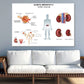 Diabetic Nephropathy Vector Design Print 100% Australian Made Stretched Canvas Ready to Hang - 2403
