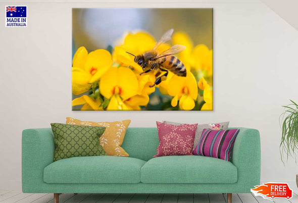 Bee on Flower Closeup Photograph Print 100% Australian Made Stretched Canvas Ready to Hang - 1220